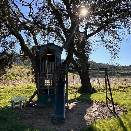 Maison Calme Au Coeur Des Vignes Casa vacanze Cogolin