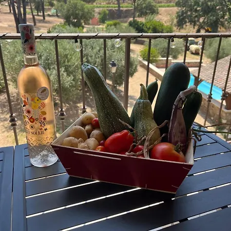 Maison Calme Au Coeur Des Vignes Tatil Evi